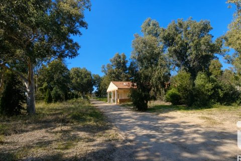 Land zum Verkauf in Cartagena, Murcia, Spanien 62300 m2 Nr. 172356 - Foto 30