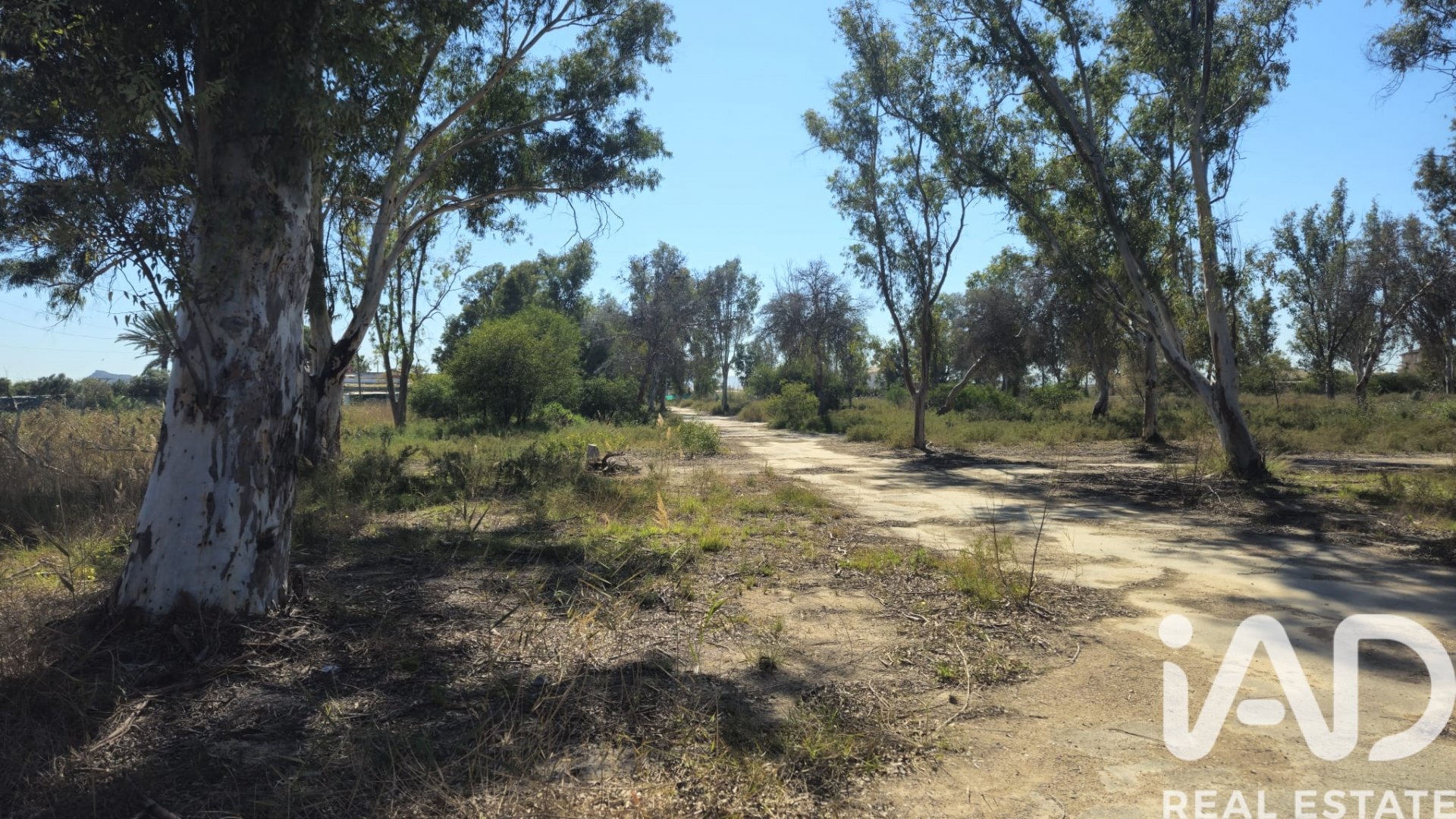 Zemes gabals Cartagena, Murcia, Spānijā 62300 m2 Nr. 172356