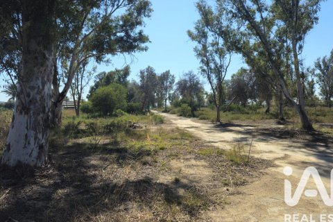 Land zum Verkauf in Cartagena, Murcia, Spanien 62300 m2 Nr. 172356 - Foto 21