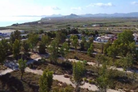 Land zum Verkauf in Cartagena, Murcia, Spanien 62300 m2 Nr. 172356 - Foto 6