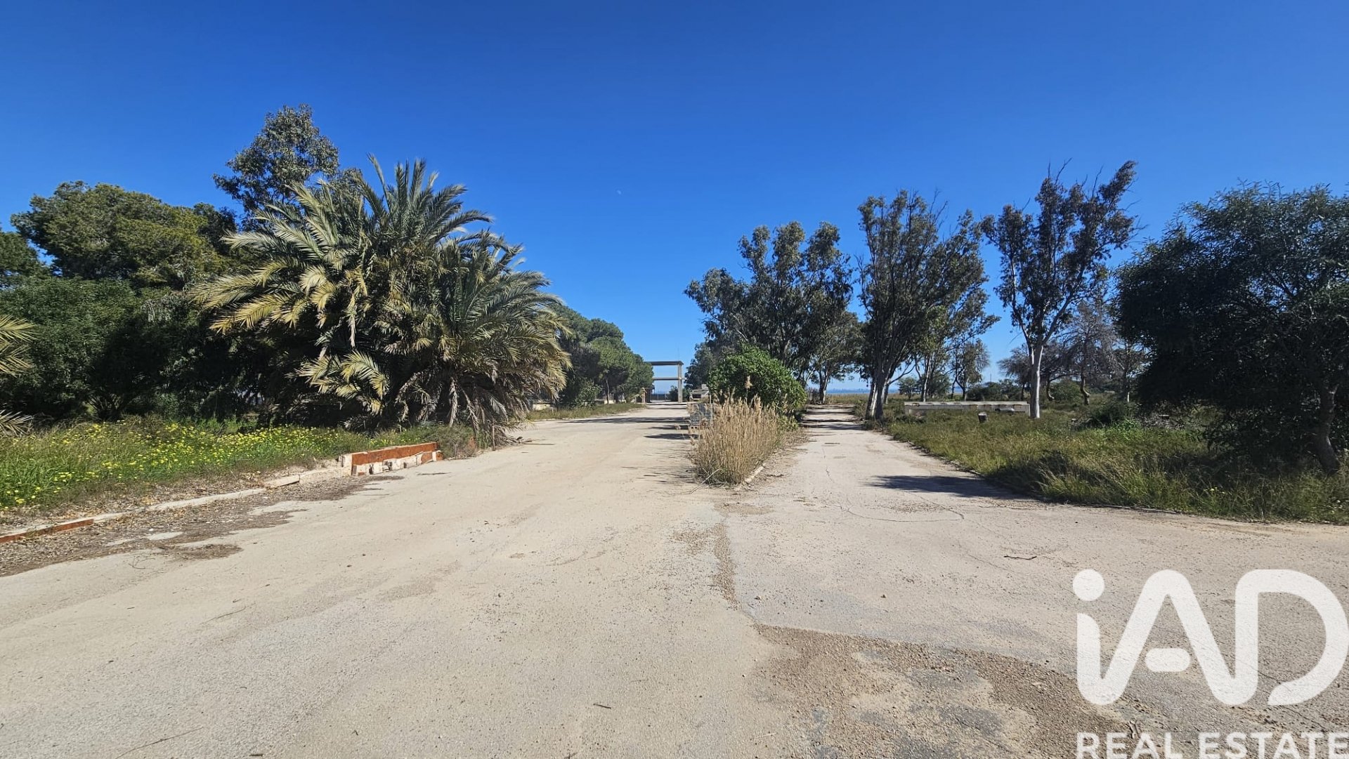 Zemes gabals Cartagena, Murcia, Spānijā 62300 m2 Nr. 172356