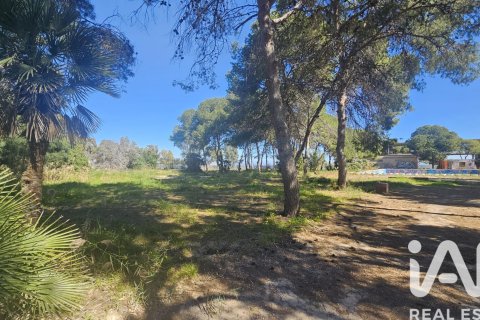 Land zum Verkauf in Cartagena, Murcia, Spanien 62300 m2 Nr. 172356 - Foto 16