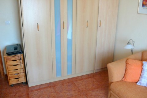 Finca myytävänä Dolores, Alicante, Espanja, 3 makuuhuonetta, 240 m2 No. 145546 - kuva 25