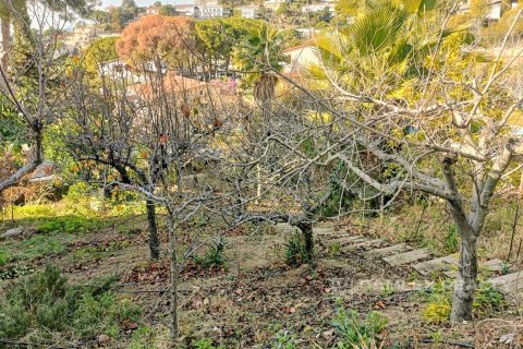 Land plot in Lloret de Mar, Girona, Spain 700 sq.m. No. 184616
