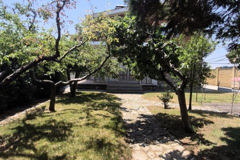Māja pārdošanā Chozas de Abajo, Leon, Spānijā 4 istabas, 400 m2 Nr. 188186 - attēls 30