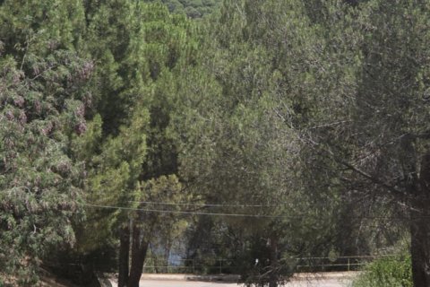 House for sale in San Martin de Valdeiglesias, Madrid, Spain 4 bedrooms, 191 sq.m. No. 188187 - photo 24