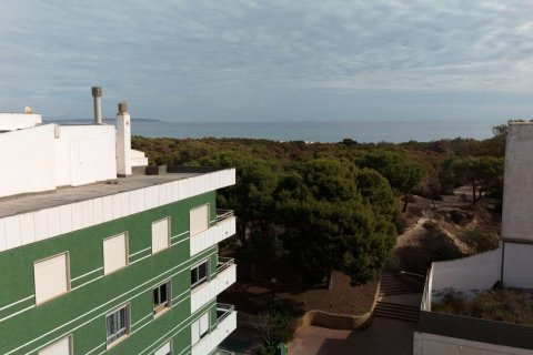 Продажа квартиры в Гуардамар-дель-Сегура, Аликанте, Испания 1 спальня, 51.75м2 №186810 - фото 5