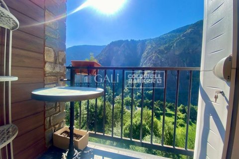 Huoneisto vuokrattavana Principado De Andorra (Ninguna Poblacion Tiene C.P.), Lleida, Espanja, 2 makuuhuonetta, 73 m2 No. 178408 - kuva 13