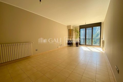 Huoneisto vuokrattavana Principado De Andorra (Ninguna Poblacion Tiene C.P.), Lleida, Espanja, 2 makuuhuonetta, 73 m2 No. 178408 - kuva 4