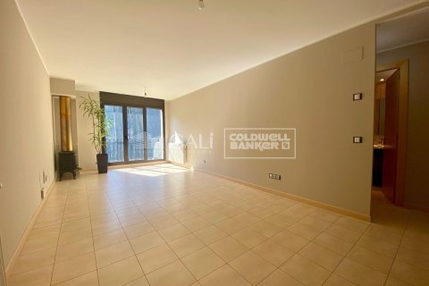 Huoneisto vuokrattavana Principado De Andorra (Ninguna Poblacion Tiene C.P.), Lleida, Espanja, 2 makuuhuonetta, 73 m2 No. 178408 - kuva 2