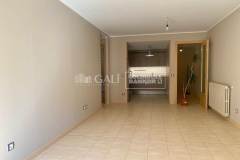 Huoneisto vuokrattavana Principado De Andorra (Ninguna Poblacion Tiene C.P.), Lleida, Espanja, 2 makuuhuonetta, 73 m2 No. 178408 - kuva 5