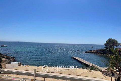 Apartment à louer à Portals Vells, Mallorca, Espagne, 1 chambre, 44 m2 No. 196752 - photo 10