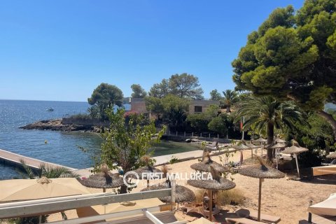 Apartment in Portals Vells, Mallorca, Spain 1 bedroom, 44 sq.m. No. 196752