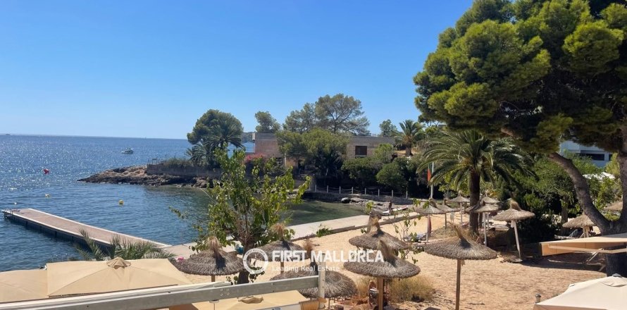 Apartment à Portals Vells, Mallorca, Espagne 1 chambre, 44 m2 No. 196752
