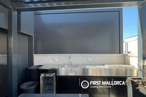 Penthouse for rent in Palma de Majorca, Mallorca, Spain 2 bedrooms, 166 sq.m. No. 196750 - photo 25