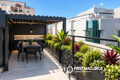 Penthouse for rent in Palma de Majorca, Mallorca, Spain 2 bedrooms, 166 sq.m. No. 196750 - photo 23