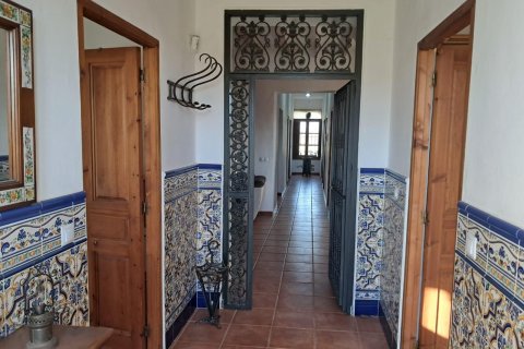 Finca till salu i Benejuzar, Alicante, Spanien 4 sovrum, 400 kvm. Nr. 140035 - foto 18