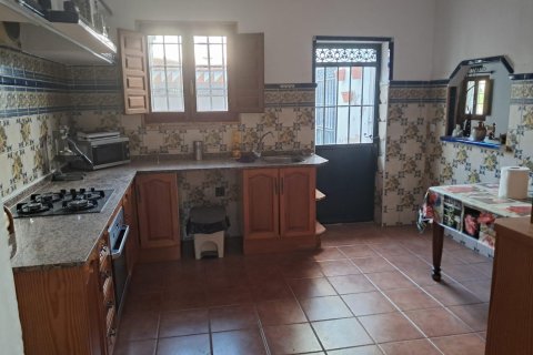 Finca till salu i Benejuzar, Alicante, Spanien 4 sovrum, 400 kvm. Nr. 140035 - foto 26