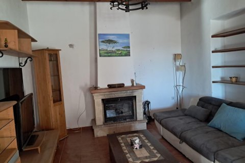 Finca till salu i Benejuzar, Alicante, Spanien 4 sovrum, 400 kvm. Nr. 140035 - foto 17