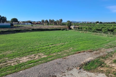 Finca till salu i Benejuzar, Alicante, Spanien 4 sovrum, 400 kvm. Nr. 140035 - foto 2