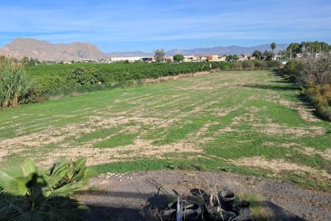 Finca till salu i Benejuzar, Alicante, Spanien 4 sovrum, 400 kvm. Nr. 140035 - foto 6