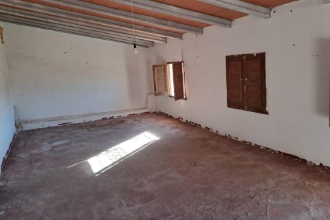 Finca till salu i Benejuzar, Alicante, Spanien 4 sovrum, 400 kvm. Nr. 140035 - foto 28