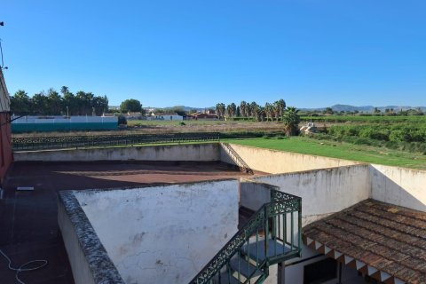 Finca till salu i Benejuzar, Alicante, Spanien 4 sovrum, 400 kvm. Nr. 140035 - foto 15