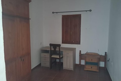 Finca till salu i Benejuzar, Alicante, Spanien 4 sovrum, 400 kvm. Nr. 140035 - foto 13