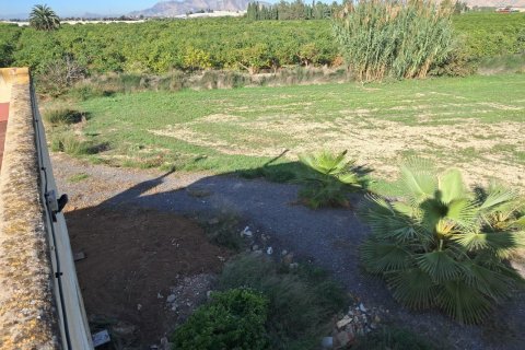Finca till salu i Benejuzar, Alicante, Spanien 4 sovrum, 400 kvm. Nr. 140035 - foto 4