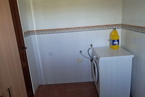 Finca till salu i Benejuzar, Alicante, Spanien 4 sovrum, 400 kvm. Nr. 140035 - foto 7