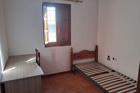 Finca till salu i Benejuzar, Alicante, Spanien 4 sovrum, 400 kvm. Nr. 140035 - foto 25