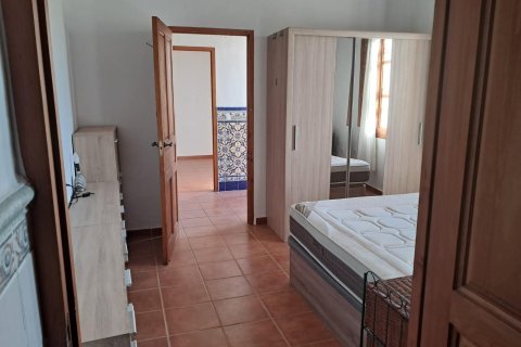 Finca till salu i Benejuzar, Alicante, Spanien 4 sovrum, 400 kvm. Nr. 140035 - foto 23