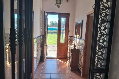Finca till salu i Benejuzar, Alicante, Spanien 4 sovrum, 400 kvm. Nr. 140035 - foto 22