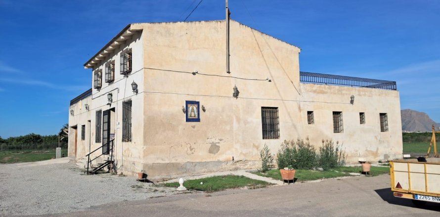 Finca i Benejuzar, Alicante, Spanien 4 sovrum, 400 kvm. Nr. 140035