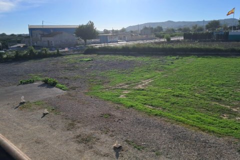 Finca till salu i Benejuzar, Alicante, Spanien 4 sovrum, 400 kvm. Nr. 140035 - foto 11