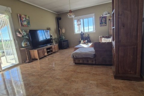 Finca till salu i Catral, Alicante, Spanien 3 sovrum, 177 kvm. Nr. 140038 - foto 6