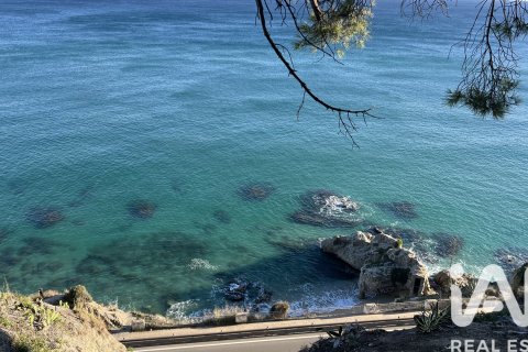 Terreno in vendita a Arenys de Mar, Barcelona, Spagna 1789 mq. N° 152659 - foto 4