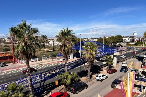 Apartament Alicante, Hiszpania 2 sypialnie, 90 mkw. nr 139917 – zdjęcie 11