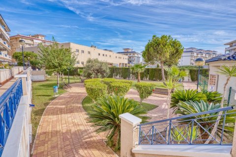 Apartament Torrevieja, Alicante, Hiszpania 1 sypialnia, 73 mkw. nr 139918 – zdjęcie 17
