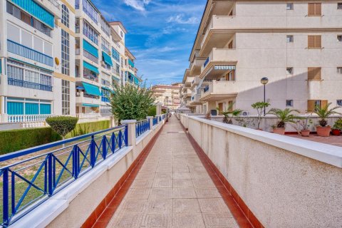 Apartament Torrevieja, Alicante, Hiszpania 1 sypialnia, 73 mkw. nr 139918 – zdjęcie 13