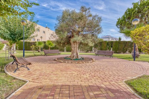 Apartament Torrevieja, Alicante, Hiszpania 1 sypialnia, 73 mkw. nr 139918 – zdjęcie 5
