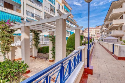 Apartament Torrevieja, Alicante, Hiszpania 1 sypialnia, 73 mkw. nr 139918 – zdjęcie 9