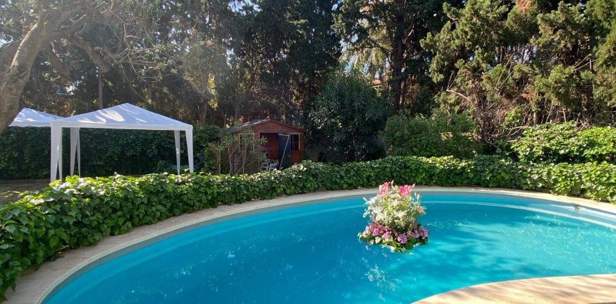 Apartment in San Juan, Alicante, Spain 6 bedrooms, 300 sq.m. No. 165576