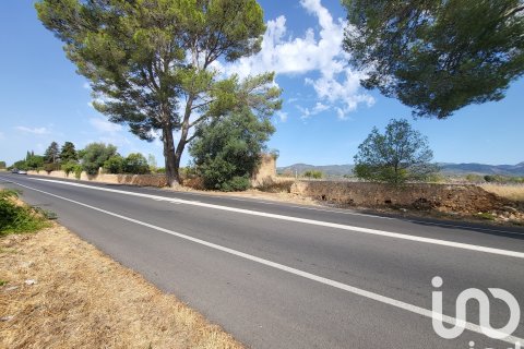 Terreno in vendita a Santa Maria Del Cami, Mallorca, Spagna 19777 mq. N° 153254 - foto 8