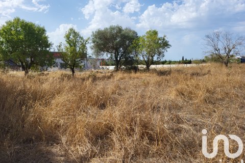 Terreno in vendita a Santa Maria Del Cami, Mallorca, Spagna 19777 mq. N° 153254 - foto 19