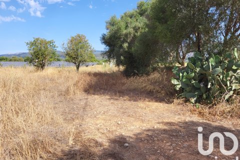 Terreno in vendita a Santa Maria Del Cami, Mallorca, Spagna 19777 mq. N° 153254 - foto 21