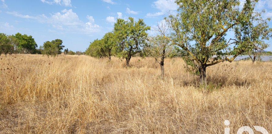 Terreno a Santa Maria Del Cami, Mallorca, Spagna 19777 mq. N° 153254
