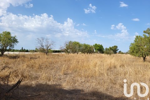 Terreno in vendita a Santa Maria Del Cami, Mallorca, Spagna 19777 mq. N° 153254 - foto 3