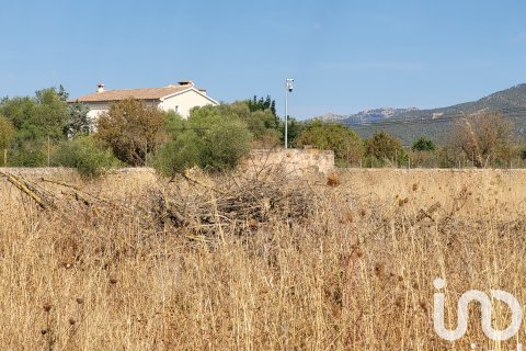 Terreno in vendita a Santa Maria Del Cami, Mallorca, Spagna 19777 mq. N° 153254 - foto 6