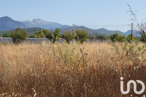 Terreno in vendita a Santa Maria Del Cami, Mallorca, Spagna 19777 mq. N° 153254 - foto 7